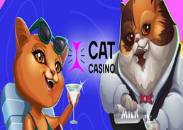 Топовые новинки слотов на Cat casino